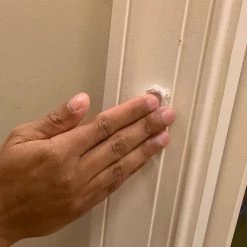 DAP Painter's Putty '53' 16 oz. White (12-Pack) -Sandpaper, Patching & Repair Sales dap patching repair 7079812242 1f 1000