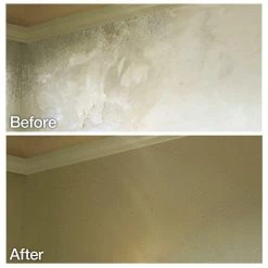 Homax 20 oz. Wall Orange Peel Low Odor Water Based Texture Spray Paint -Sandpaper, Patching & Repair Sales white homax patching repair 4092 06 31 1000